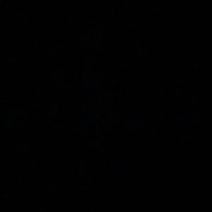 Meet your Posher, Brad